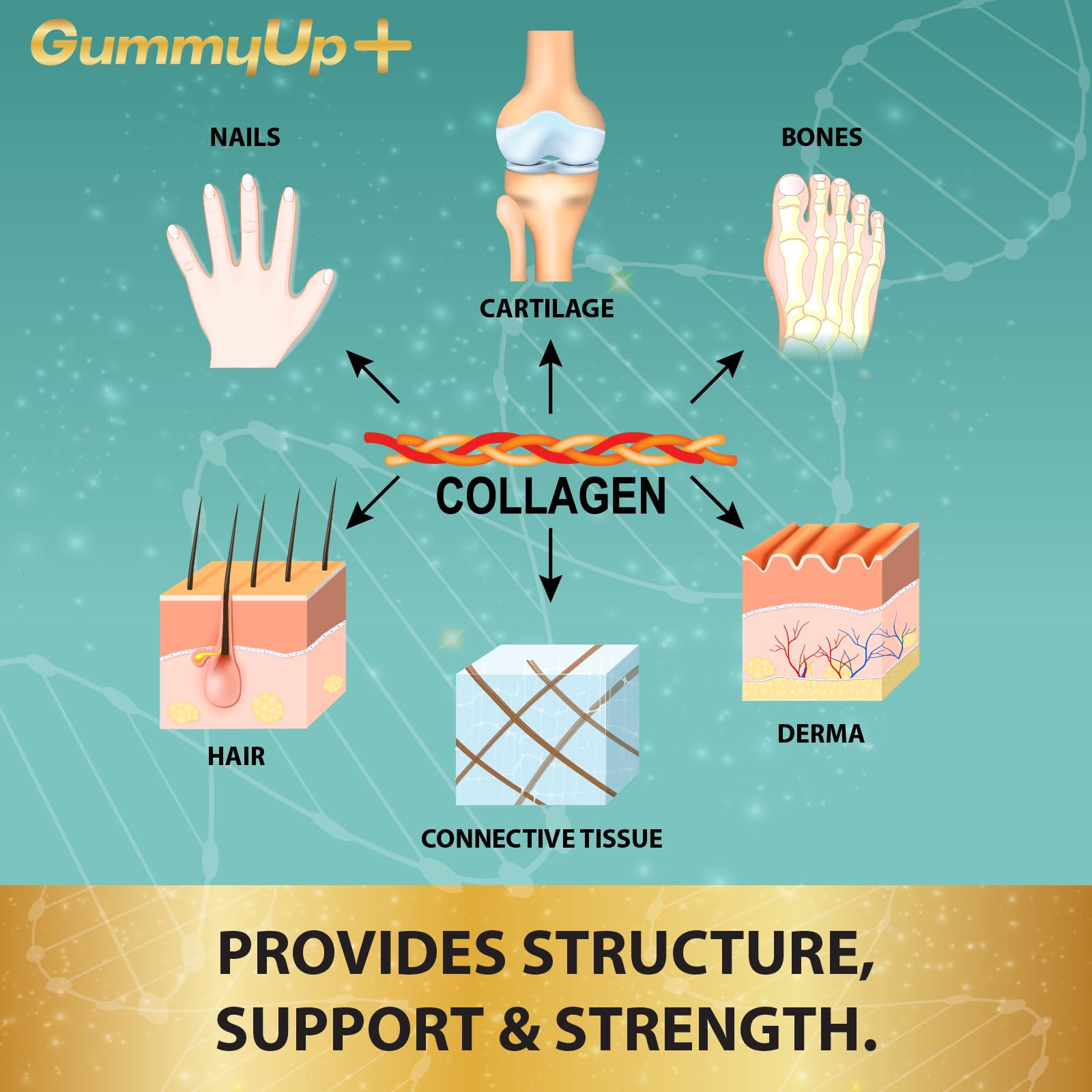 Hydrolysed Collagen Gummies with Biotin, 60 Sugar Free Natural Pineapple Flavoured Gummies